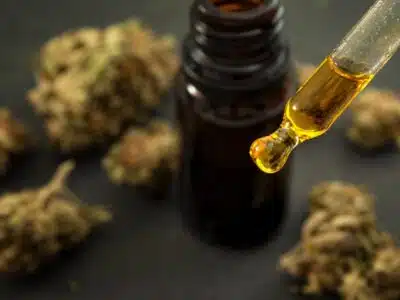 Toutes les vertus de l’huile de CBD