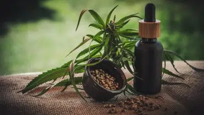 Comment consommer le CBD ?