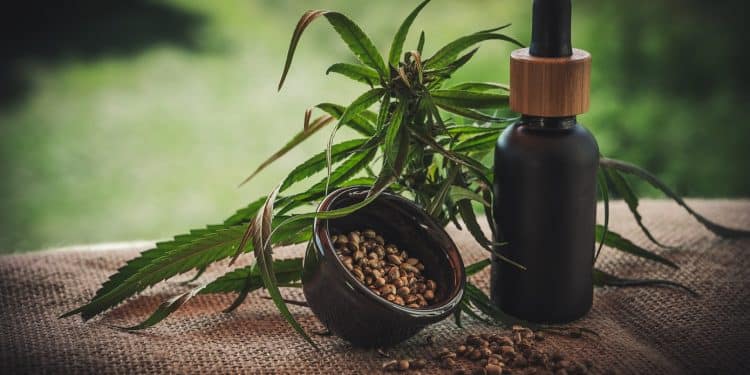 Comment consommer le CBD ?