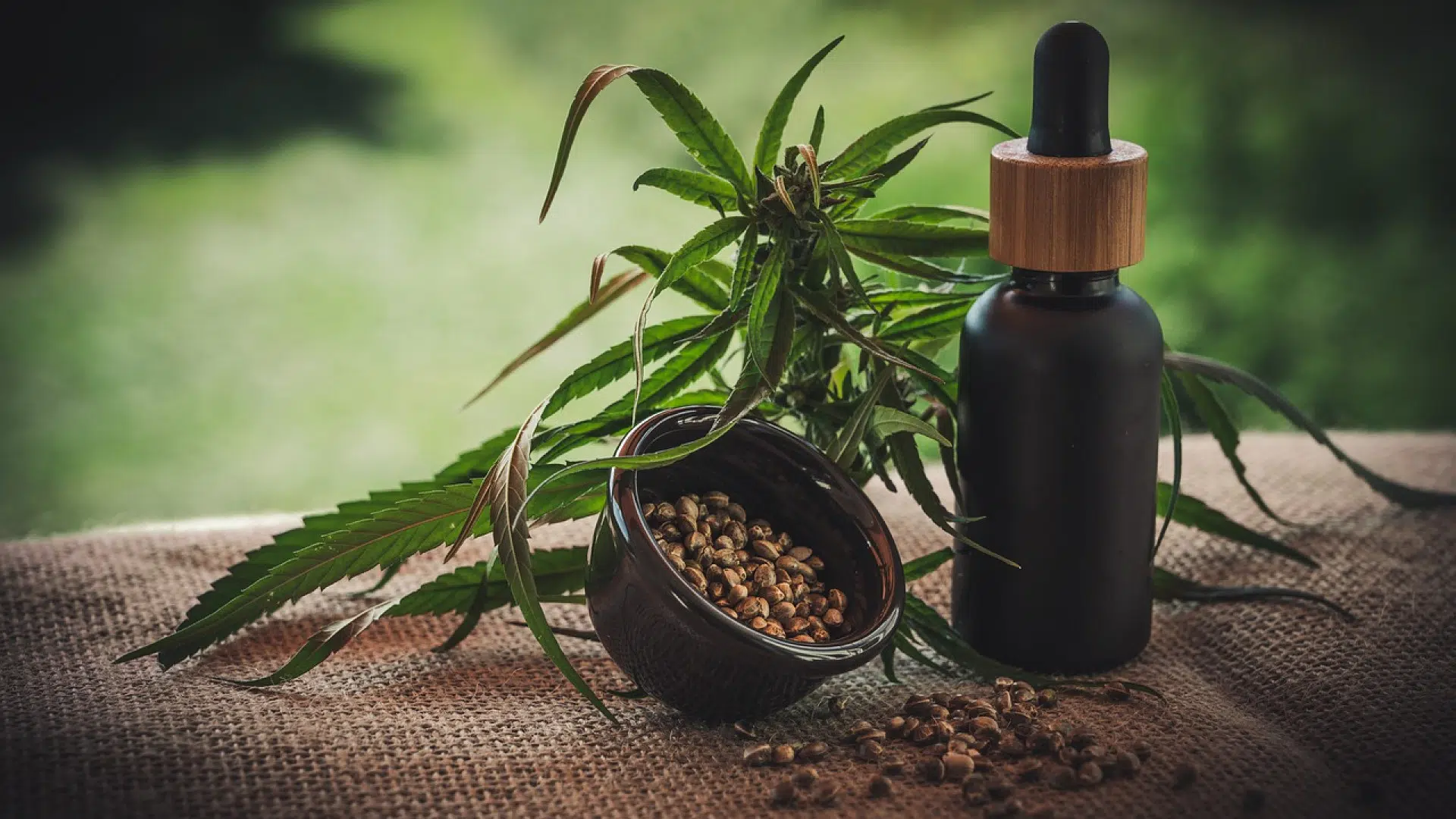 Comment consommer le CBD ?