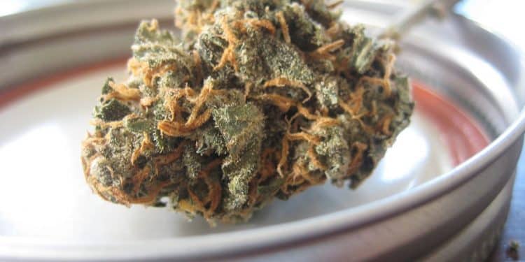La consommation de CBD améliore-t-elle vraiment le bien-être au quotidien ?