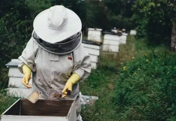 Que fait l'apiculteur pour avoir un miel de qualité supérieure ?