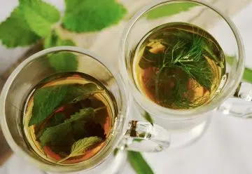 Quel thé vert boire pour maigrir ?