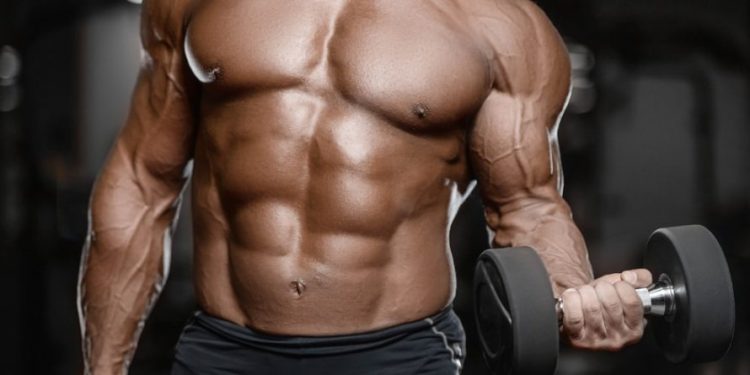 se muscler rapidement